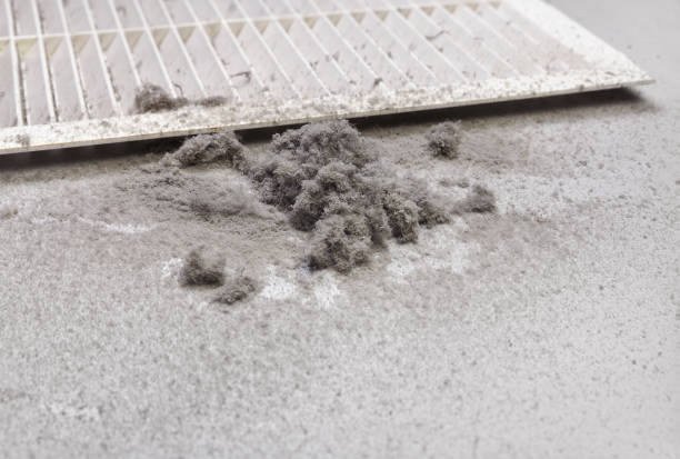 Best Affordable Duct Cleaning Services  in Shelby, MT