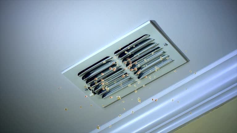 Reliable MT Airduct Cleaning Solutions