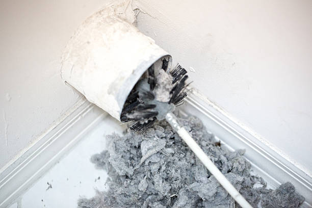 Best Residential Air Duct Cleaning  in Shelby, MT